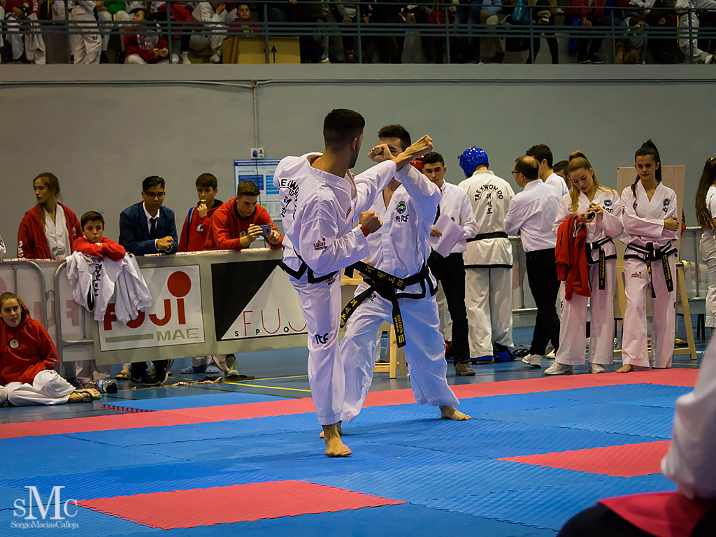 COPA SEUL, 2017  (186).JPG